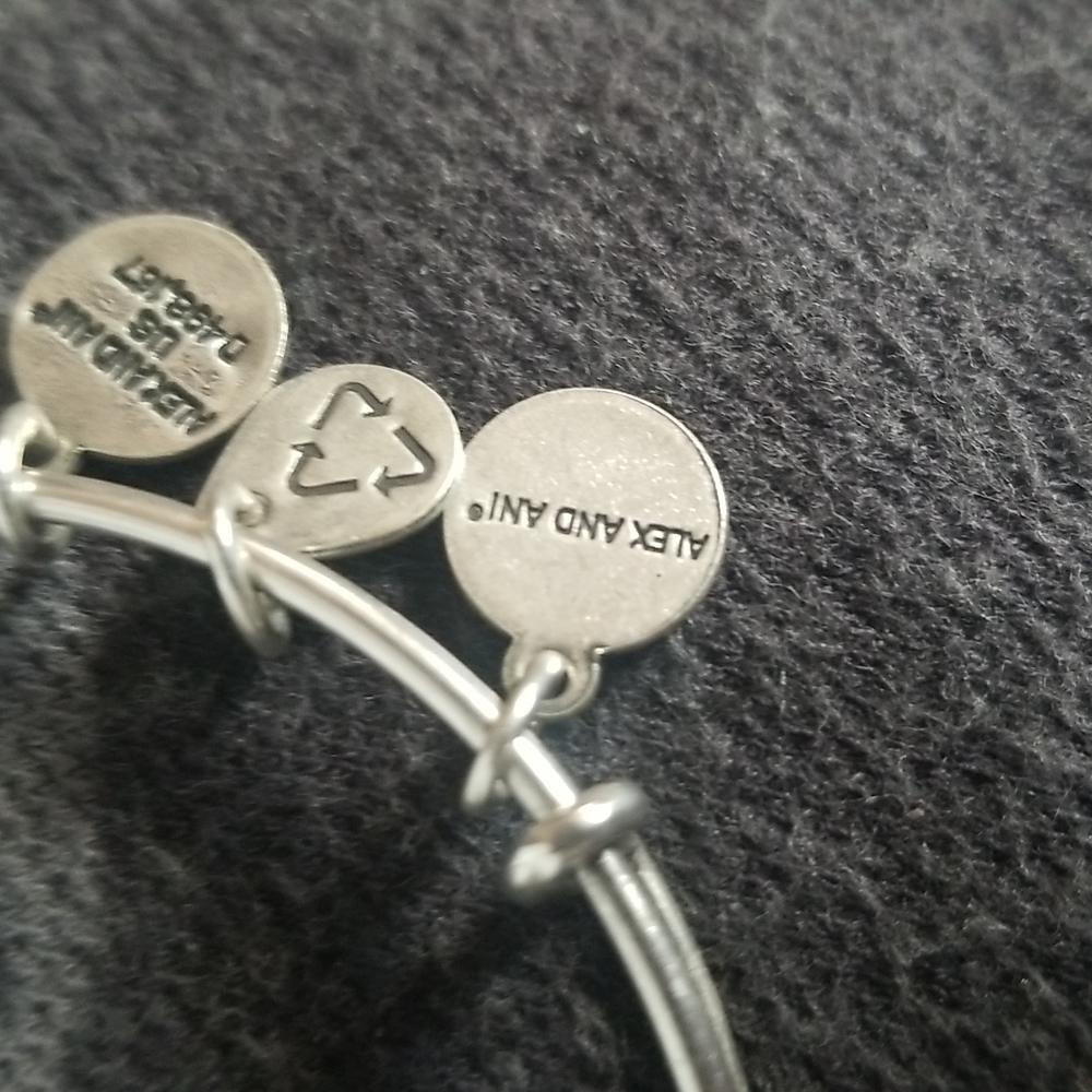 Alex and ani small bracelet